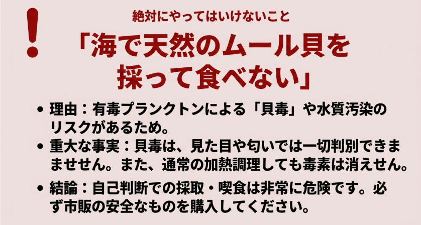 海で天然のムール貝を採って食べると貝毒や水質汚染のリスクがあり危険だと警告するスライド