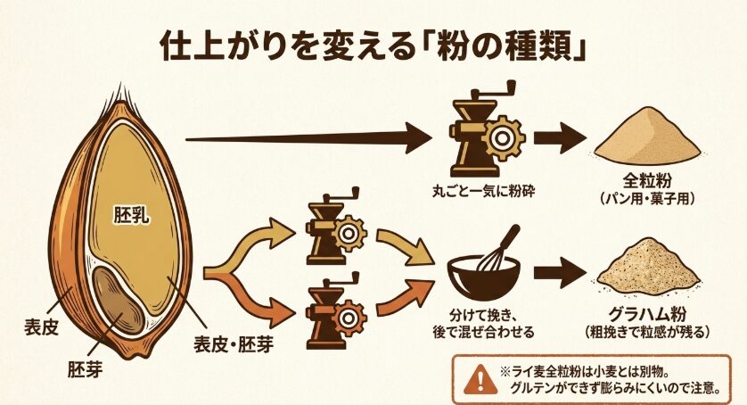 小麦を丸ごと粉砕する全粒粉と、表皮や胚芽を分けて粗く挽いて再混合するグラハム粉の違い